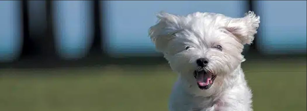 Diseños únicos NOVA 3D